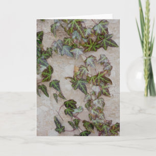 Ivy on Tree Trunk Feiertagskarte