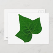 Ivy Postkarte (Vorne/Hinten)