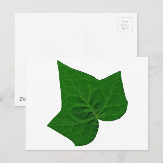Ivy Postkarte (Vorne/Hinten)