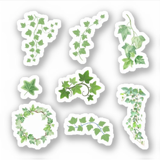 Ivy Stickers Aufkleber (Vorderseite)