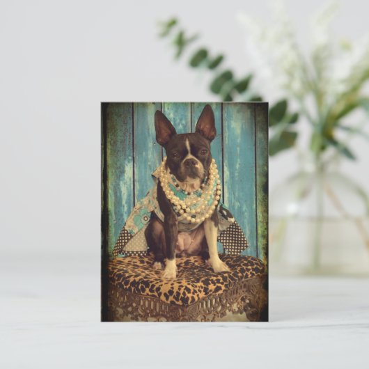 Ivy the Boston Terrier Postkarte (Stehend Vorderseite)