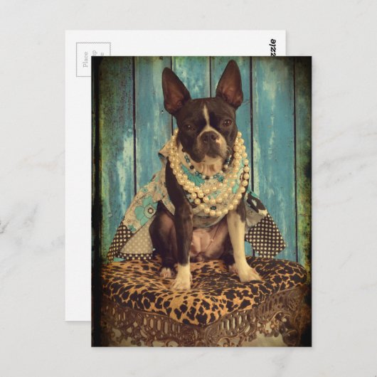 Ivy the Boston Terrier Postkarte (Vorne/Hinten)