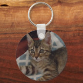 Ivy the tabby kitten schlüsselanhänger (Vorderseite)