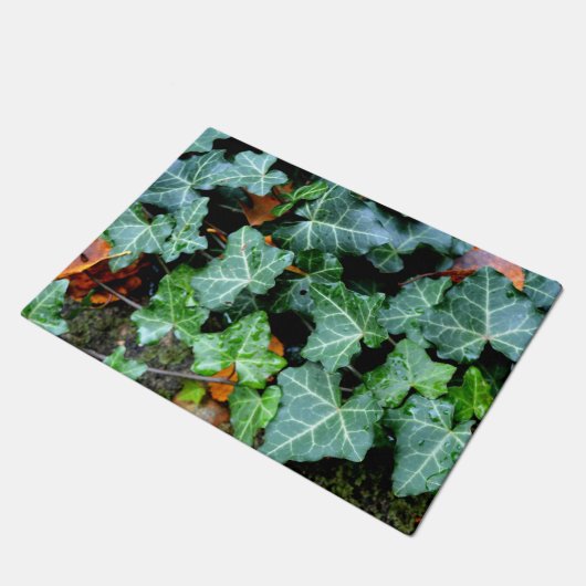 Ivy und Felsstein Fußmatte (Schrägansicht)