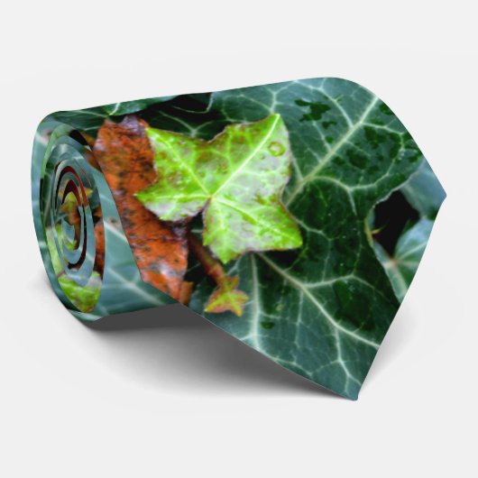 Ivy und Felsstein Krawatte (Gerollt)