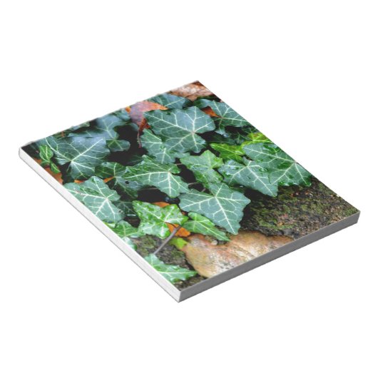 Ivy und Felsstein Notizblock (angewinkelt)