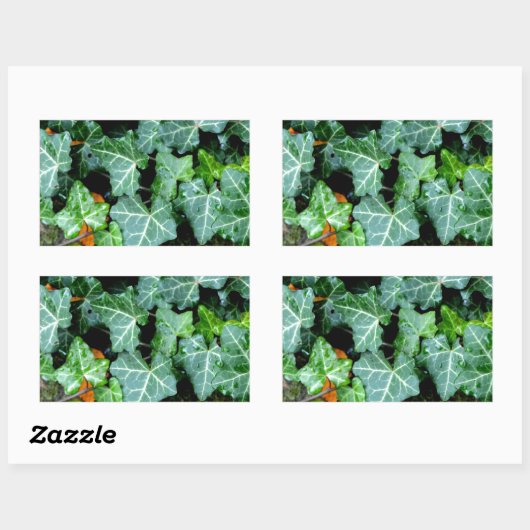 Ivy und Felsstein Rechteckiger Aufkleber (Blatt)