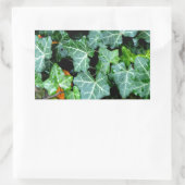 Ivy und Felsstein Rechteckiger Aufkleber (Tasche)