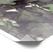 Ivy und Traubenschneide Poster (Ecke)