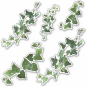 Ivy Variegated and English Ivy Vines and Blätter Aufkleber (Vorderseite)