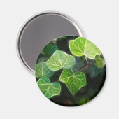 Ivy Vine 4 Magnet (Vorderseite/Rückseite)