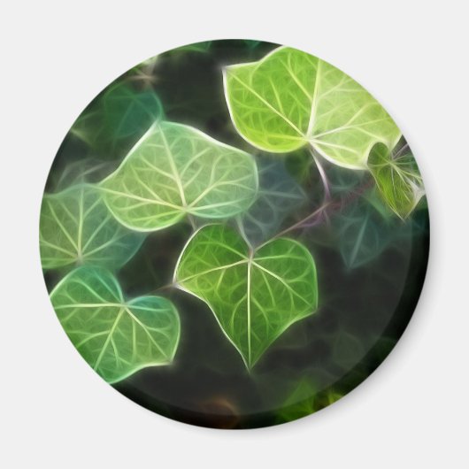 Ivy Vine 4 Magnet (Vorne)