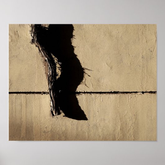 Ivy Vine und Shadow Poster (Vorne)