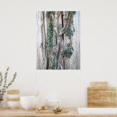 Ivy & Vines on Woods Fence Poster (Küche)