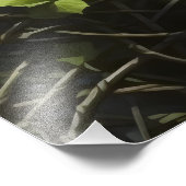 Ivy Woman Fotodruck (Ecke)