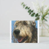 iw.png postkarte (Stehend Vorderseite)