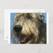 iw.png postkarte (Vorne/Hinten)