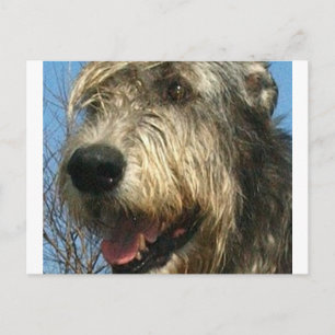 iw.png postkarte