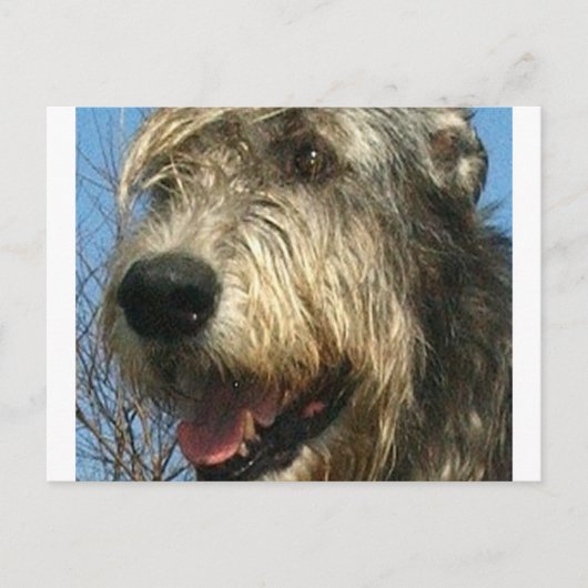 iw.png postkarte (Vorderseite)