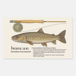 Iwana (Salvelinus leucomaenis) – Englische Illustr Rechteckiger Aufkleber