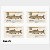 Iwana (Salvelinus leucomaenis) – English Illust Rechteckiger Aufkleber (Blatt)