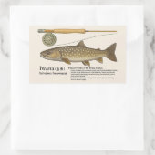 Iwana (Salvelinus leucomaenis) – English Illust Rechteckiger Aufkleber (Tasche)