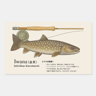 Iwana (Salvelinus leucomaenis) – Fish Illustration Rechteckiger Aufkleber