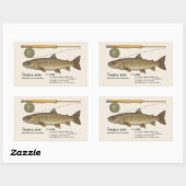 Iwana (Salvelinus leucomaenis) – Japanese Illust Rechteckiger Aufkleber (Blatt)