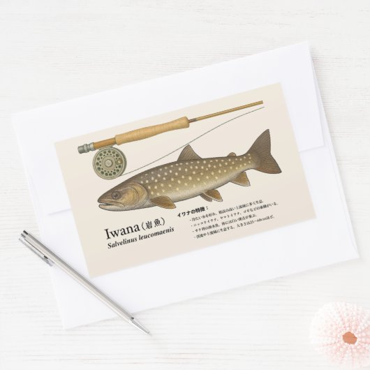 Iwana (Salvelinus leucomaenis) – Japanese Illust Rechteckiger Aufkleber (Umschlag)