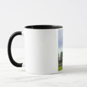 Iwojima-Tasse Tasse (Links)