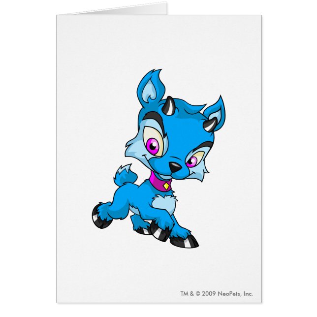 Ixi Blau (Vorne)