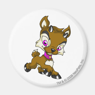 Ixi Brown Magnet