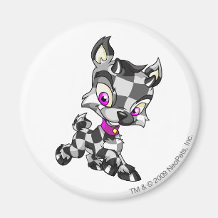 Ixi Checkered Magnet