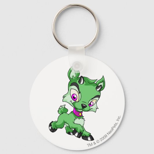 Ixi Green Schlüsselanhänger (Vorderseite)