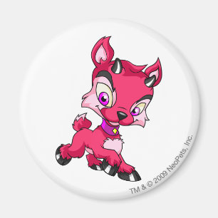 Ixi Rot Magnet