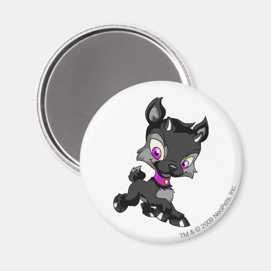 Ixi Shadow Magnet (Vorderseite/Rückseite)