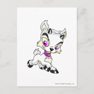Ixi Weiß Postkarte