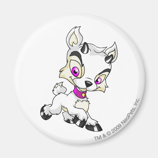 Ixi White Magnet (Vorne)