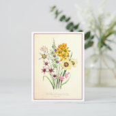 Ixia Botanische Illustration Vintag Postkarte (Stehend Vorderseite)