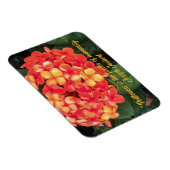 Ixora Flexible Foto Magnet blühen (Rechte Seite)
