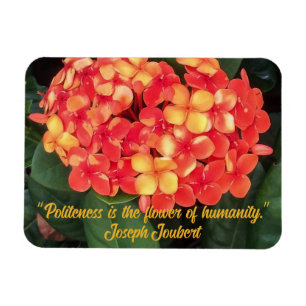Ixora Flexible Foto Magnet blühen
