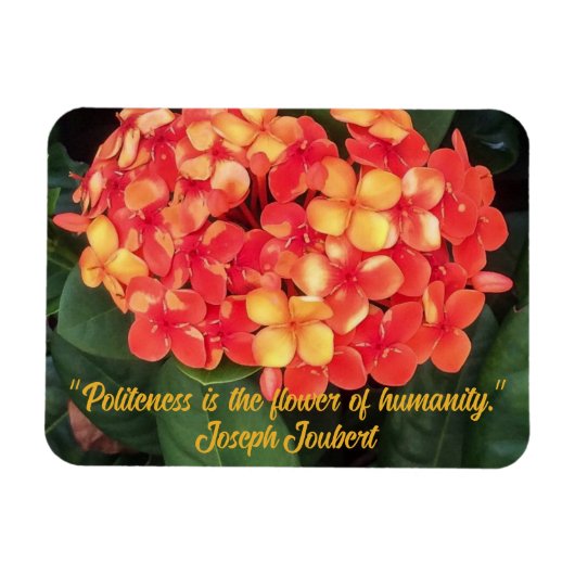 Ixora Flexible Foto Magnet blühen (Horizontal)
