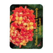 Ixora Flexible Foto Magnet blühen (Vertikal)