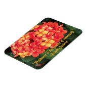 Ixora Flexible Foto Magnet blühen (Linke Seite)