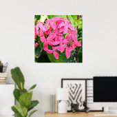 Ixora Pflanze Poster (Heimbüro)