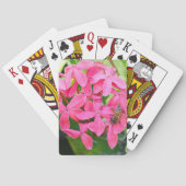 Ixora Pflanze Spielkarten (Rückseite)
