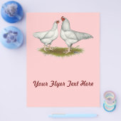 Ixworth Chickens Flyer (Einzeln)