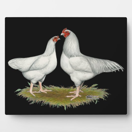 Ixworth Chickens Fotoplatte (Vorderseite)