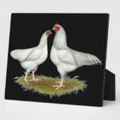 Ixworth Chickens Fotoplatte (Seite)