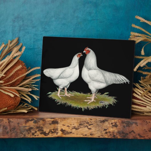 Ixworth Chickens Fotoplatte (Seite)